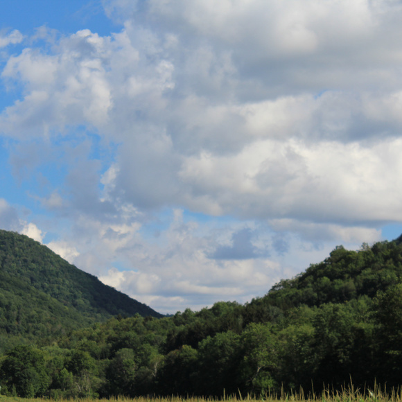 Meet your Posher, Sarah - Picture 2 of 3